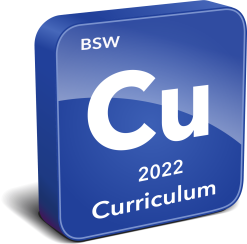 BSW Curriculum Instrument