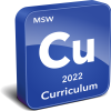 MSW Curriculum Instrument
