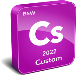 BSW Custom Instrument