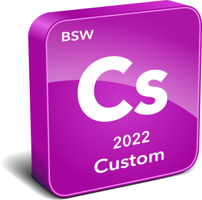 BSW Custom Instrument