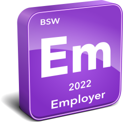 BSW Employer Instrument