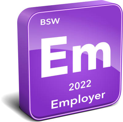 BSW Employer Instrument