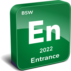 BSW Entrance Survey