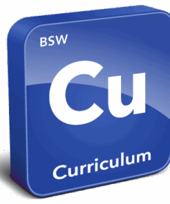 BSW Curriculum Instrument