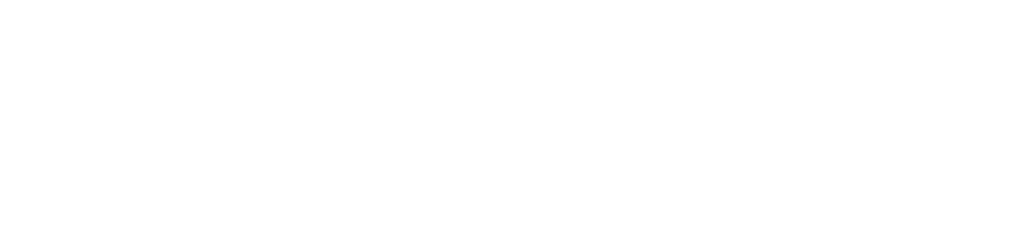 Social Work Education Assessment Project